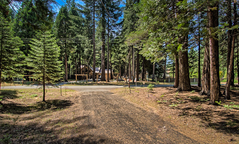 9375 Thatcher Mill Road Shingletown, CA 96088 - Photo 23 of 23 a view of a tree with a yard