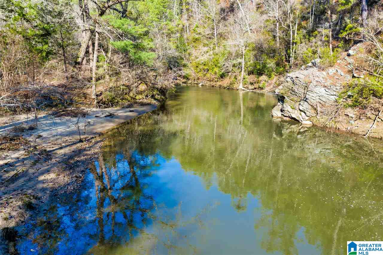 0 County Road 8, Unit 1 Clanton, AL 35045 - Photo 3 of 30