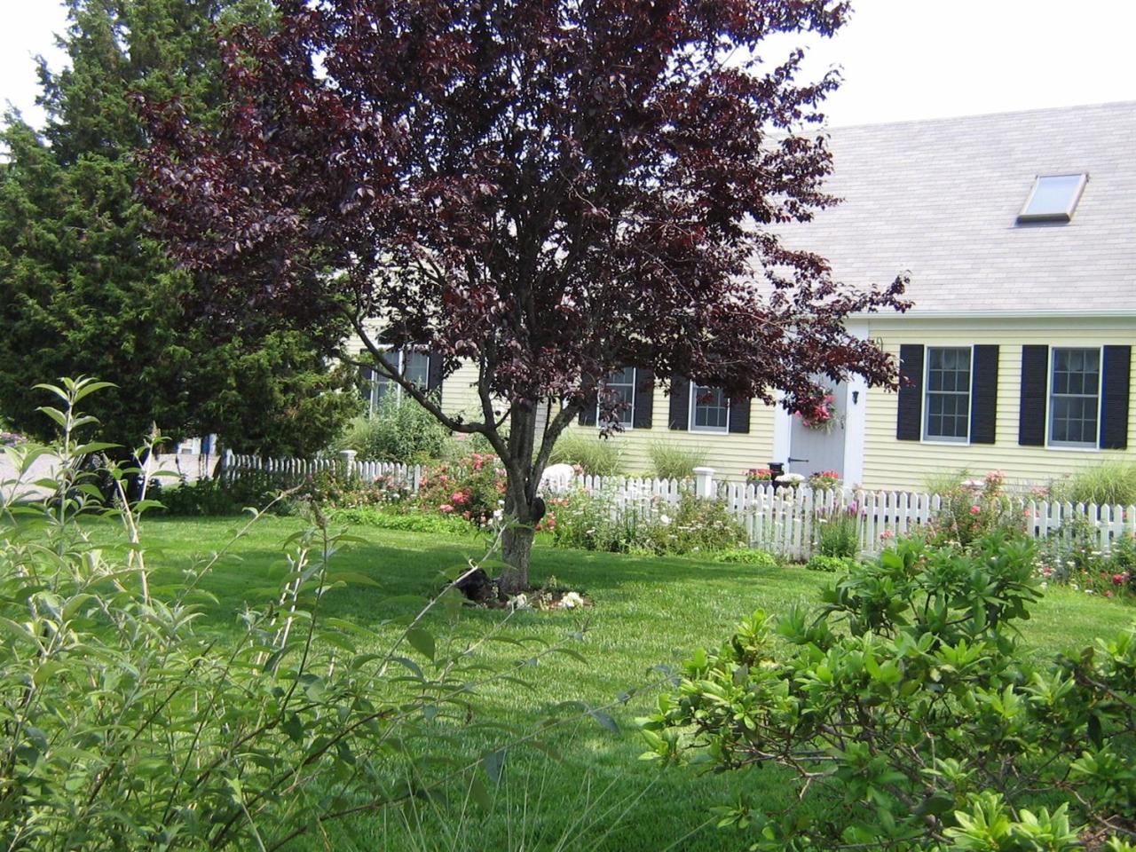 8 Raymond Way Eastham, MA 02642 - Photo 26 of 35 Additional Photo