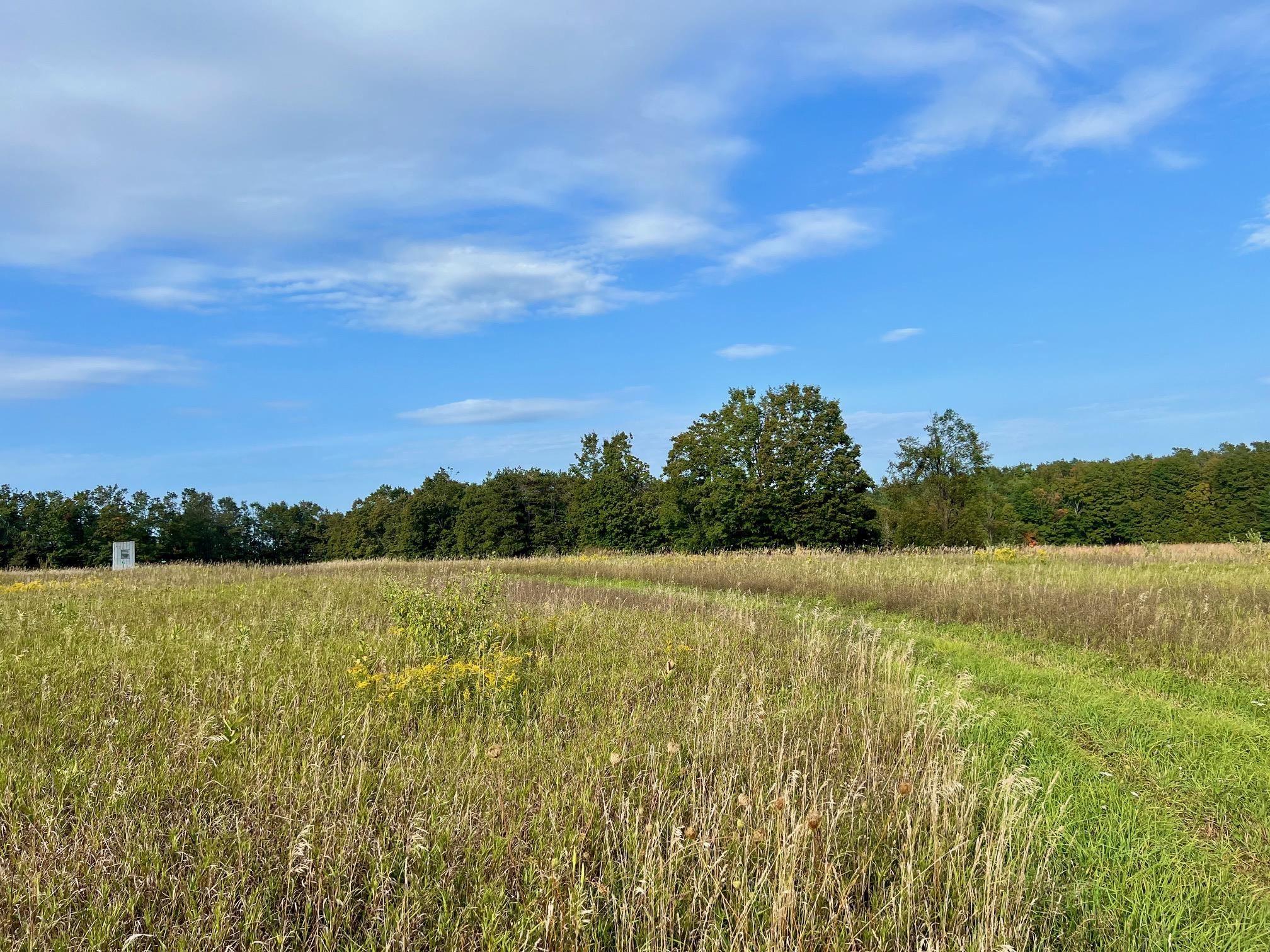 0 Skinner Road Charlevoix, MI 49720 - Photo 5 of 15