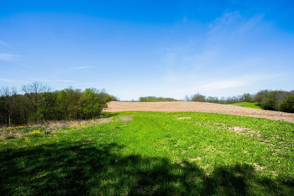 17797 Dayton Ridge Road Muscoda, WI 53573 - Photo 13 of 75