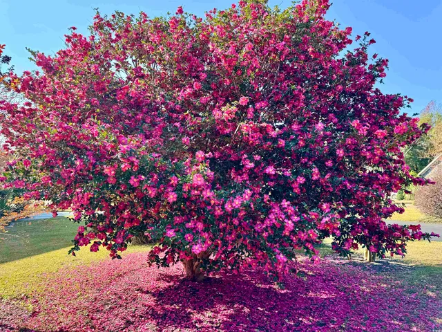 $449,000 | 40 Governor Boone Lane, Georgetown, SC 29440