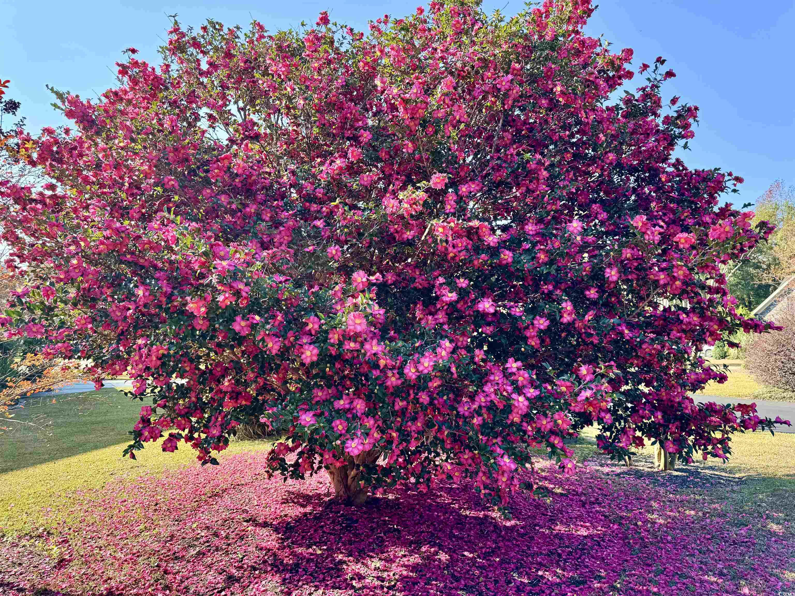 40 Governor Boone Lane Georgetown, SC 29440 - Photo 20 of 33 Detailed view