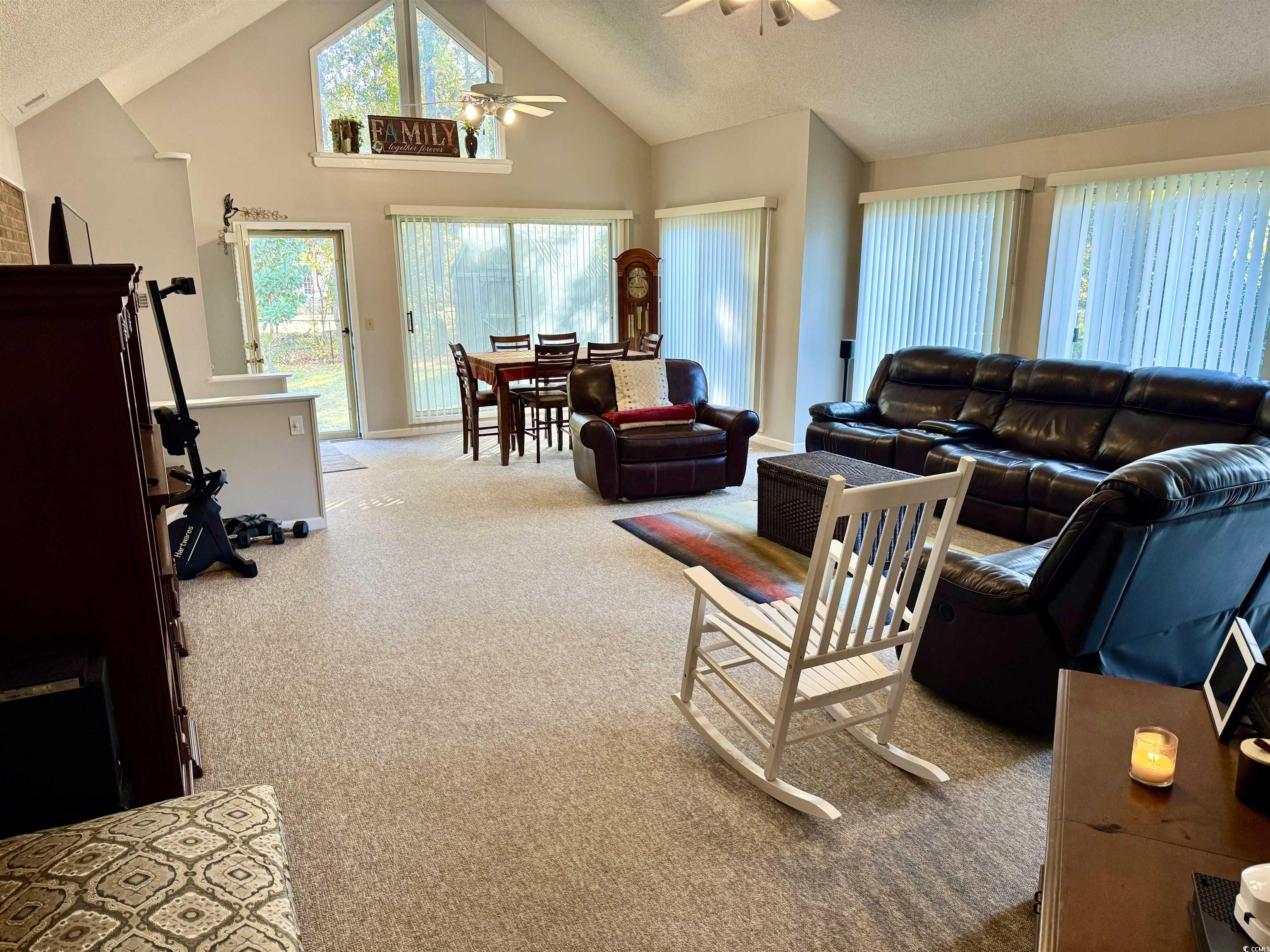 40 Governor Boone Lane Georgetown, SC 29440 - Photo 2 of 33 Living area featuring high vaulted ceiling, a textured ceiling, carpet flooring, and ceiling fan