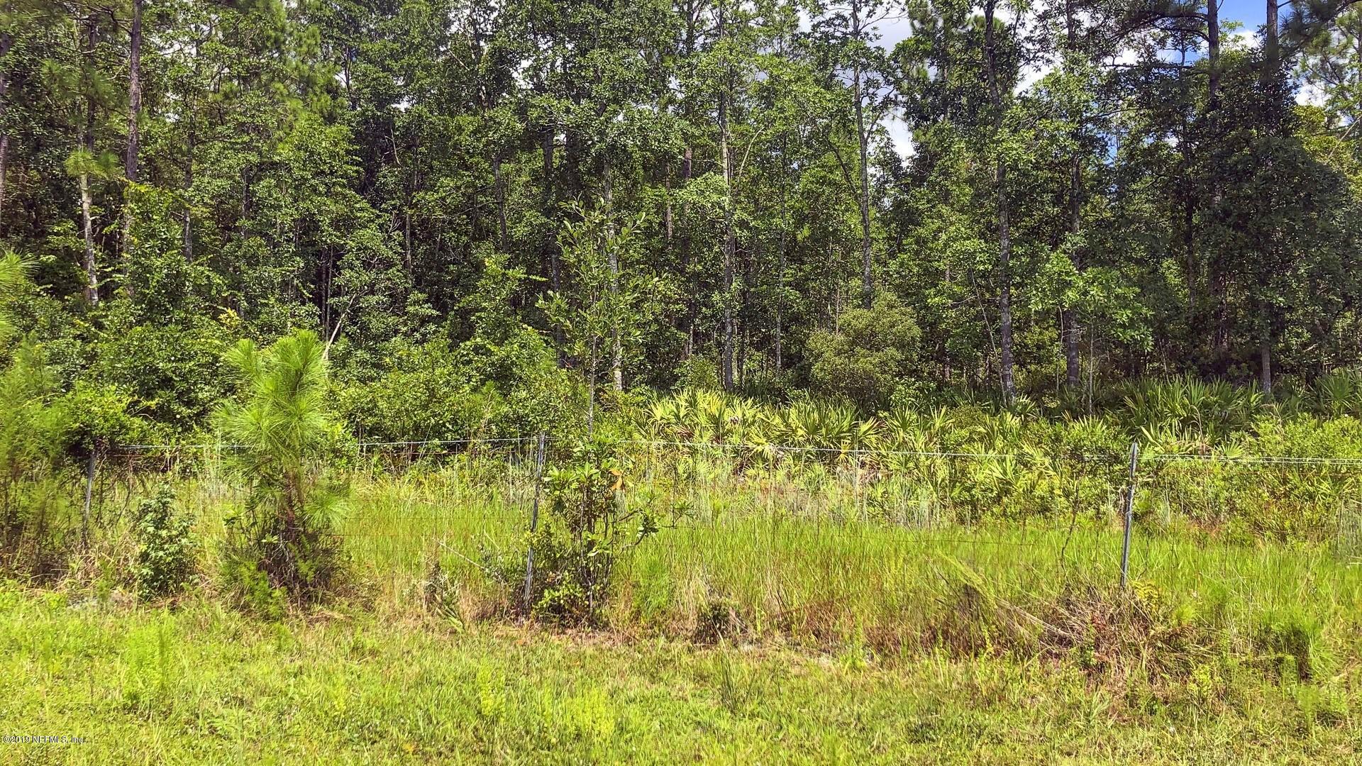 13516 Boney Road Jacksonville, FL 32226 - Photo 12 of 34 012_Adjacent to Nature Preserve