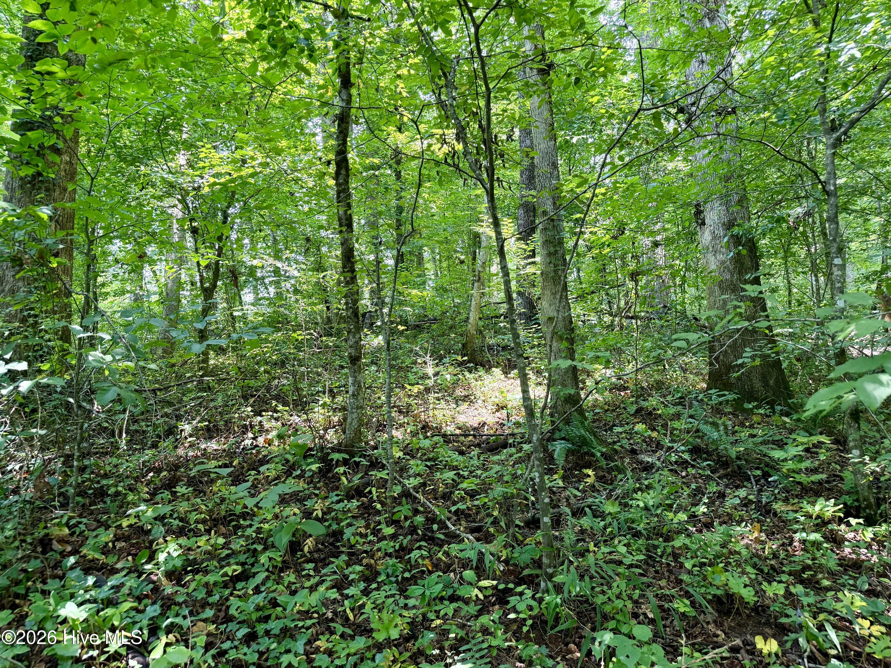 7 Heaton Road Marble, NC 28905 - Photo 9 of 10 Gallery Image 9
