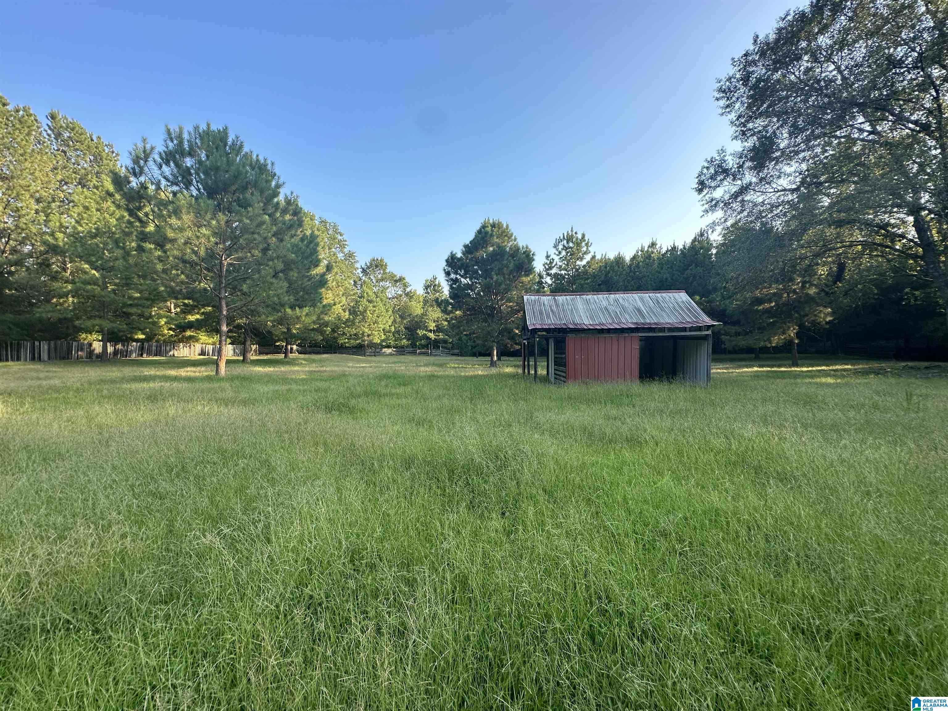 0 Honeycut Road Randolph, AL 36792 - Photo 21 of 29