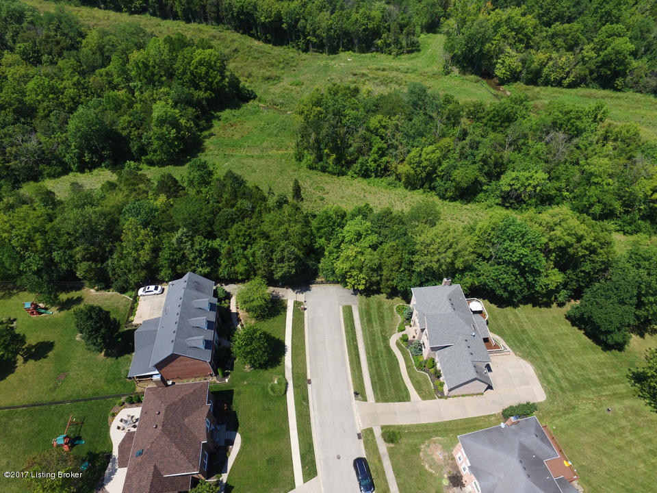 14003 Hickory Ridge Road Louisville, KY 40245 - Photo 4 of 58 Surrounded by green space