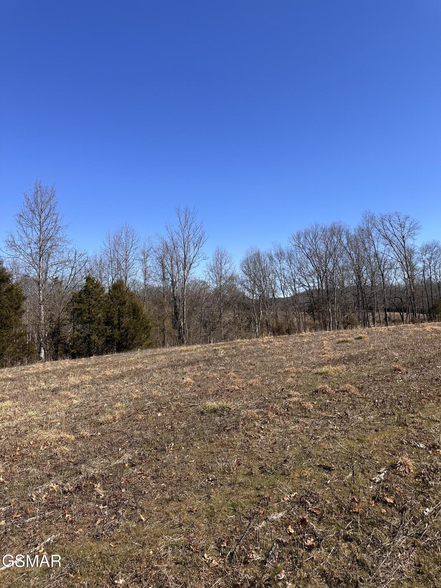 24265 South Mohawk Road Midway, TN 37809 - Photo 48 of 56