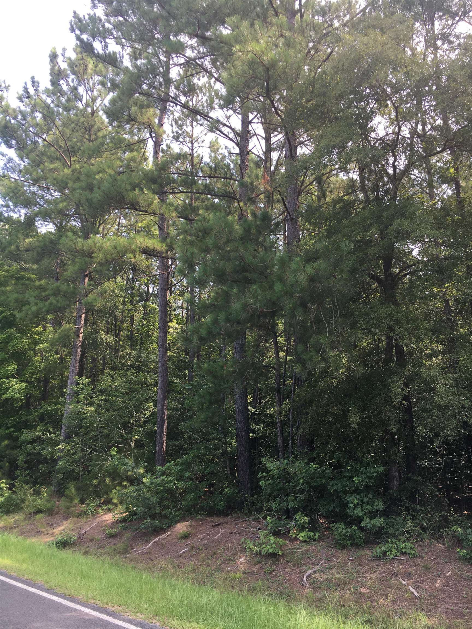 0 Vick Road Spring Hope, NC 27882 - Photo 3 of 5 Photo 3