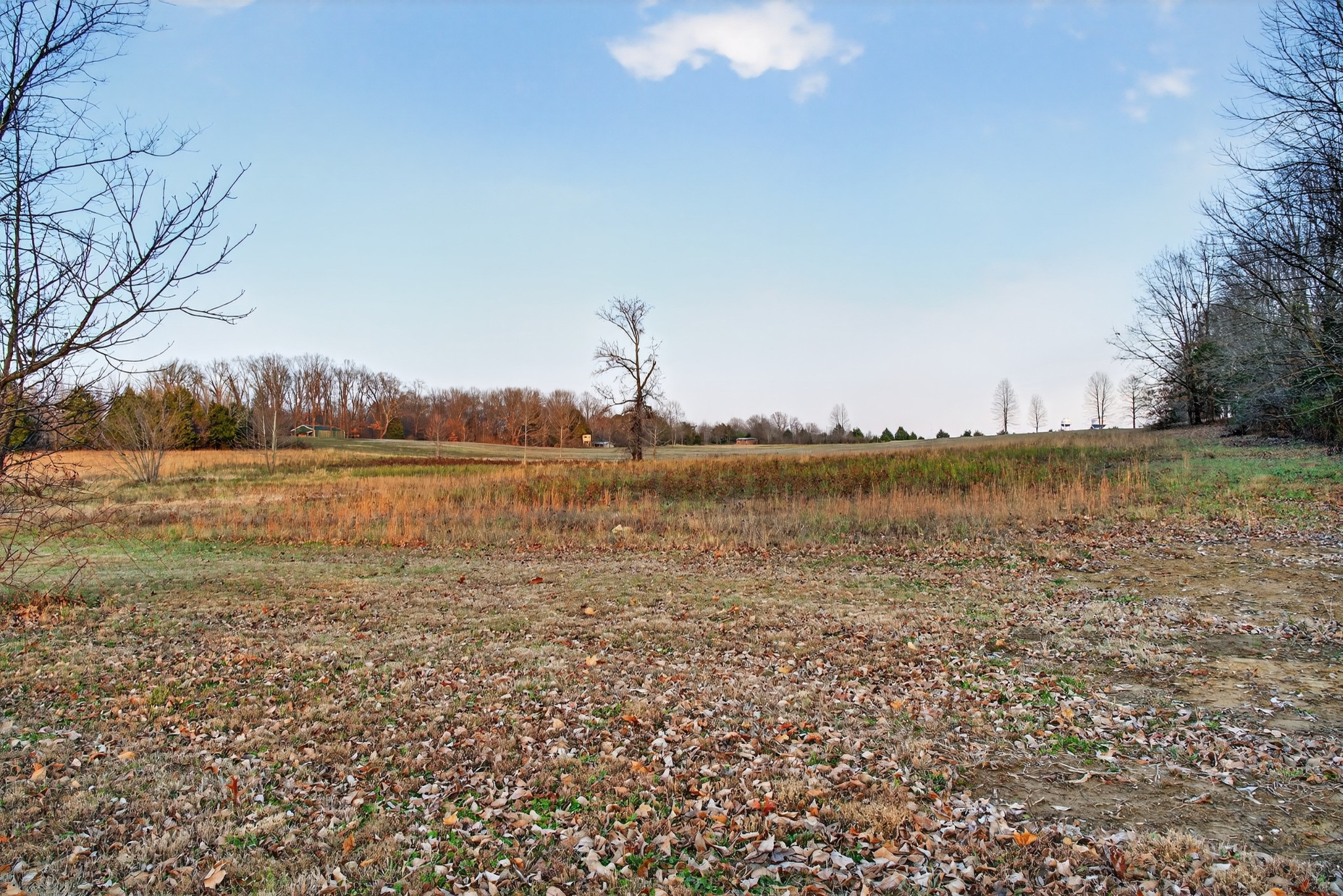 4675 Wills Road Cross Plains, TN 37049 - Photo 44 of 69 a view of a lake with houses in the back