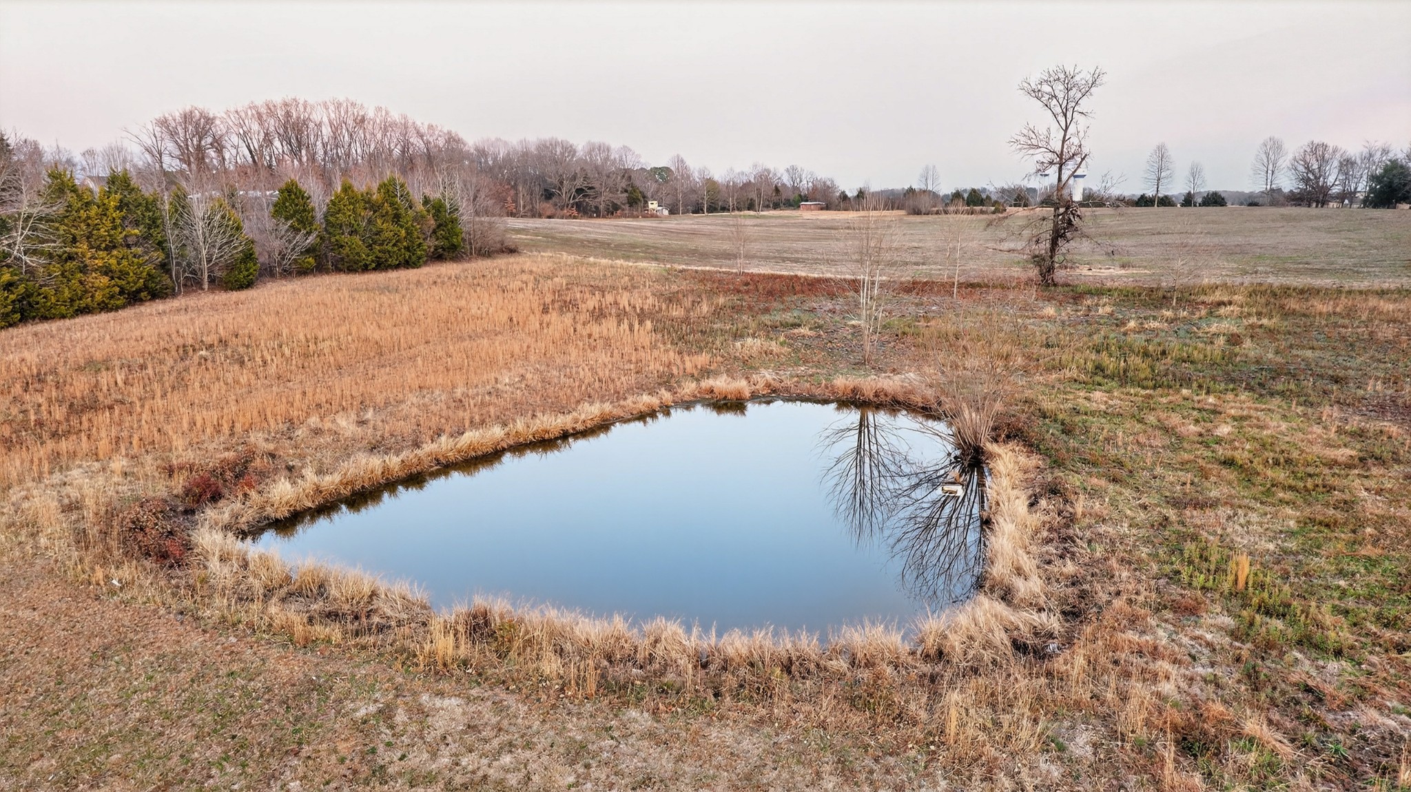 4675 Wills Road Cross Plains, TN 37049 - Photo 63 of 69 a view of a lake in middle of the field