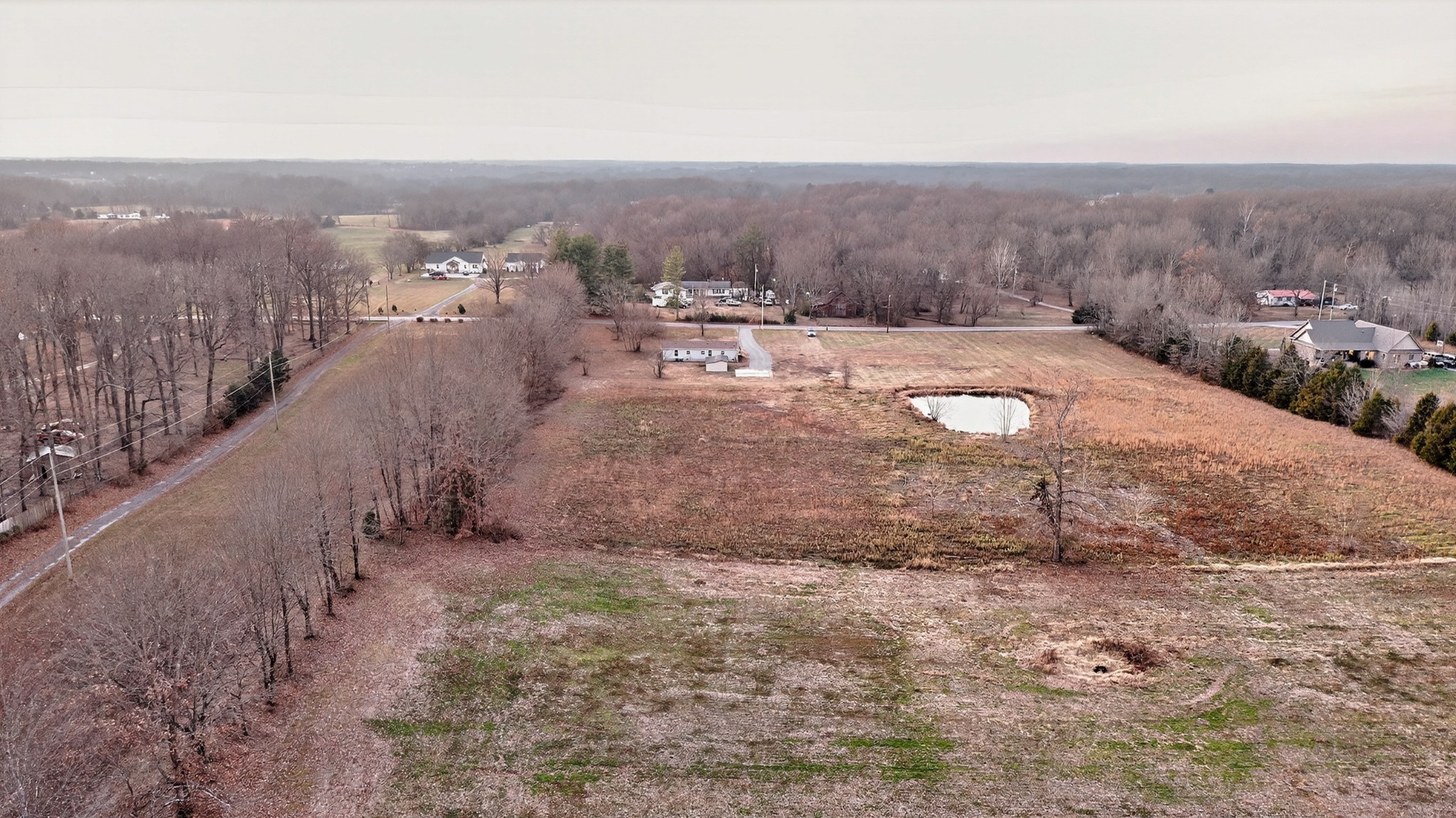 4675 Wills Road Cross Plains, TN 37049 - Photo 67 of 69 a view of a dry yard with trees