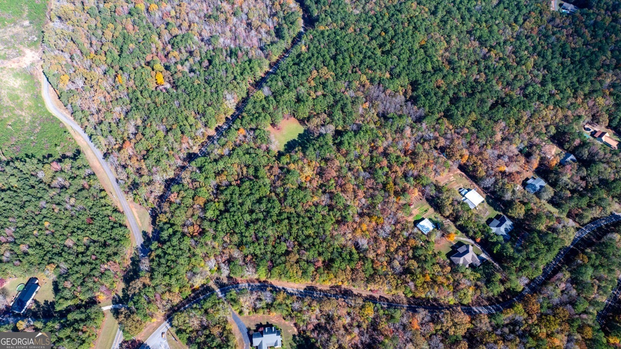 0 Napier Road Southwest Eatonton, GA 31024 - Photo 1 of 1 Gallery Image 1