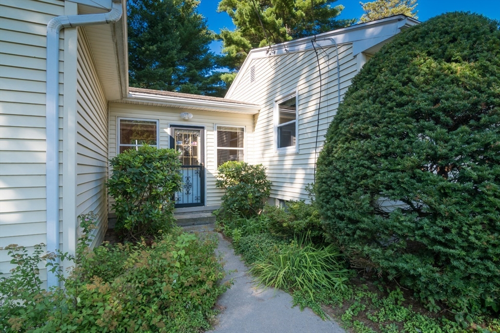 63 Tinkham Road Springfield, MA 01129 - Photo 19 of 22 Gallery Image 19