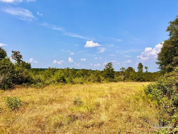 $290,000 | Lot 16 Morgans Branch, Molino, FL 32577
