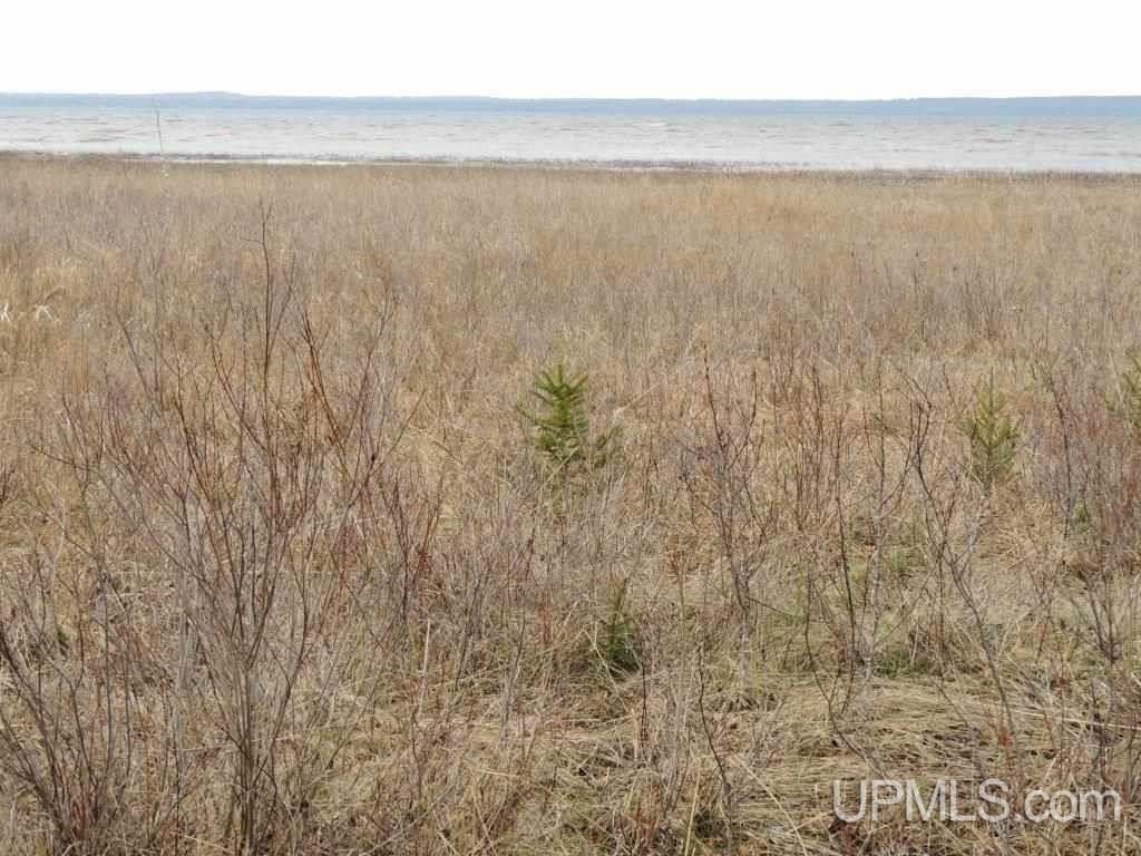 Tbd Tbd Co Road Nahma, MI 49864 - Photo 1 of 3