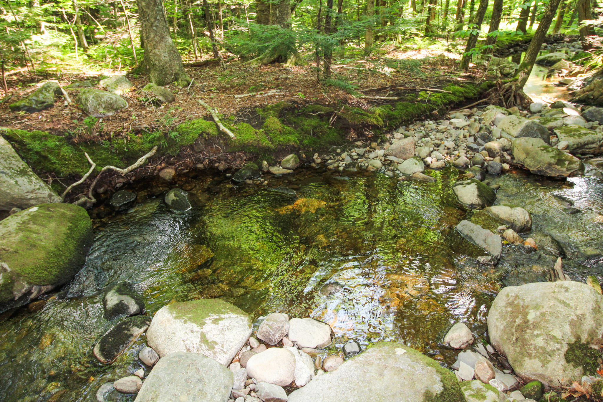 228 Pond Road Wilton, ME 04294 - Photo 2 of 37 IMG_2979