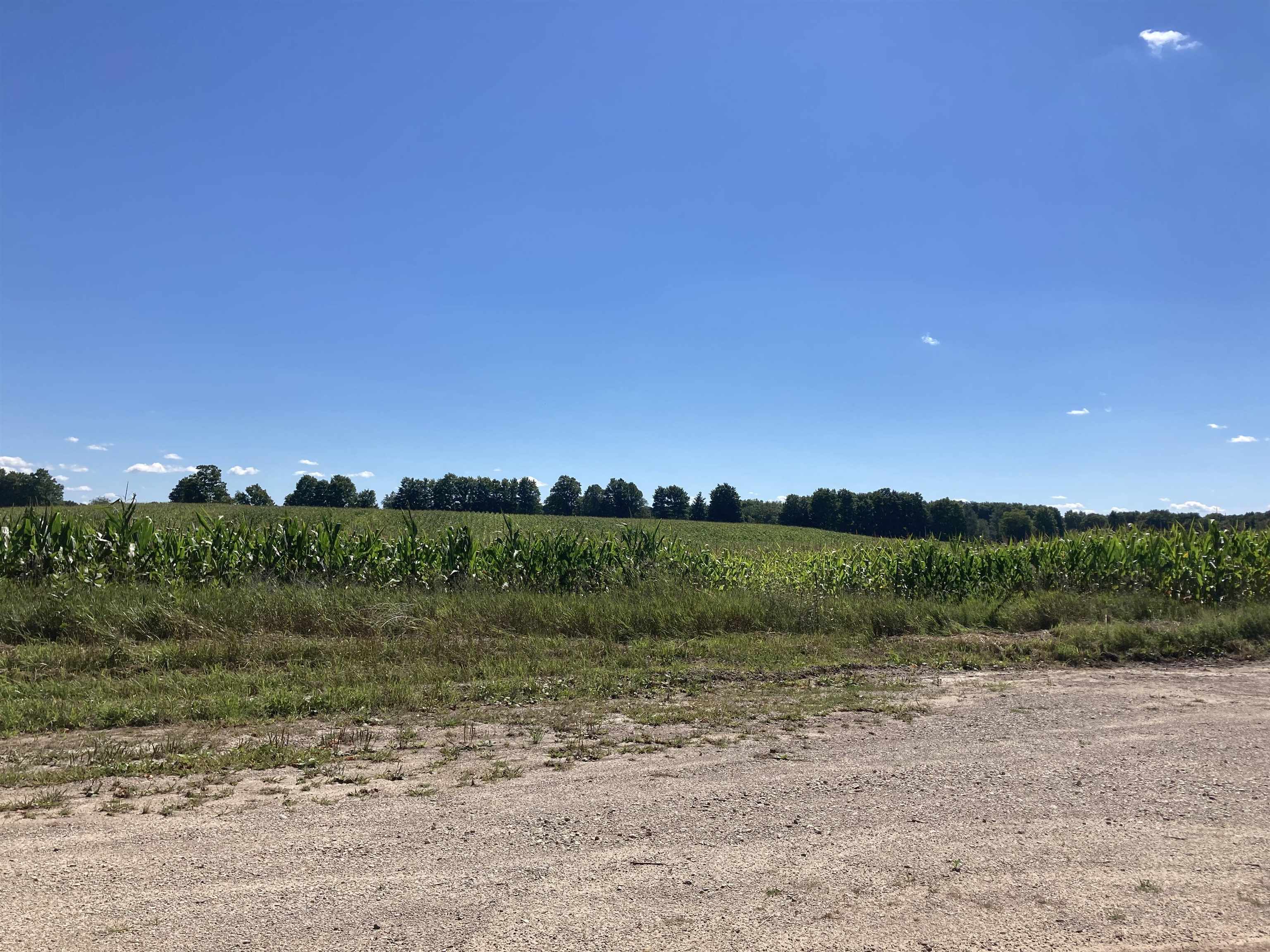 Vl Gleaner Hall Road Kingsley, MI 49649 - Photo 1 of 7