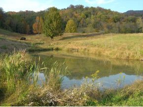 Tbd Fodderstack Mountain Loop Greeneville, TN 37745 - Photo 1 of 6 Photo 1