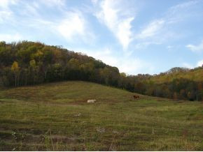 Tbd Fodderstack Mountain Loop Greeneville, TN 37745 - Photo 2 of 6 Photo 2