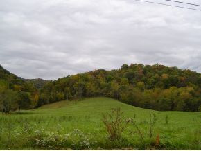 Tbd Fodderstack Mountain Loop Greeneville, TN 37745 - Photo 4 of 6 Photo 4