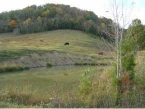 Tbd Fodderstack Mountain Loop Greeneville, TN 37745 - Photo 6 of 6 Photo 6
