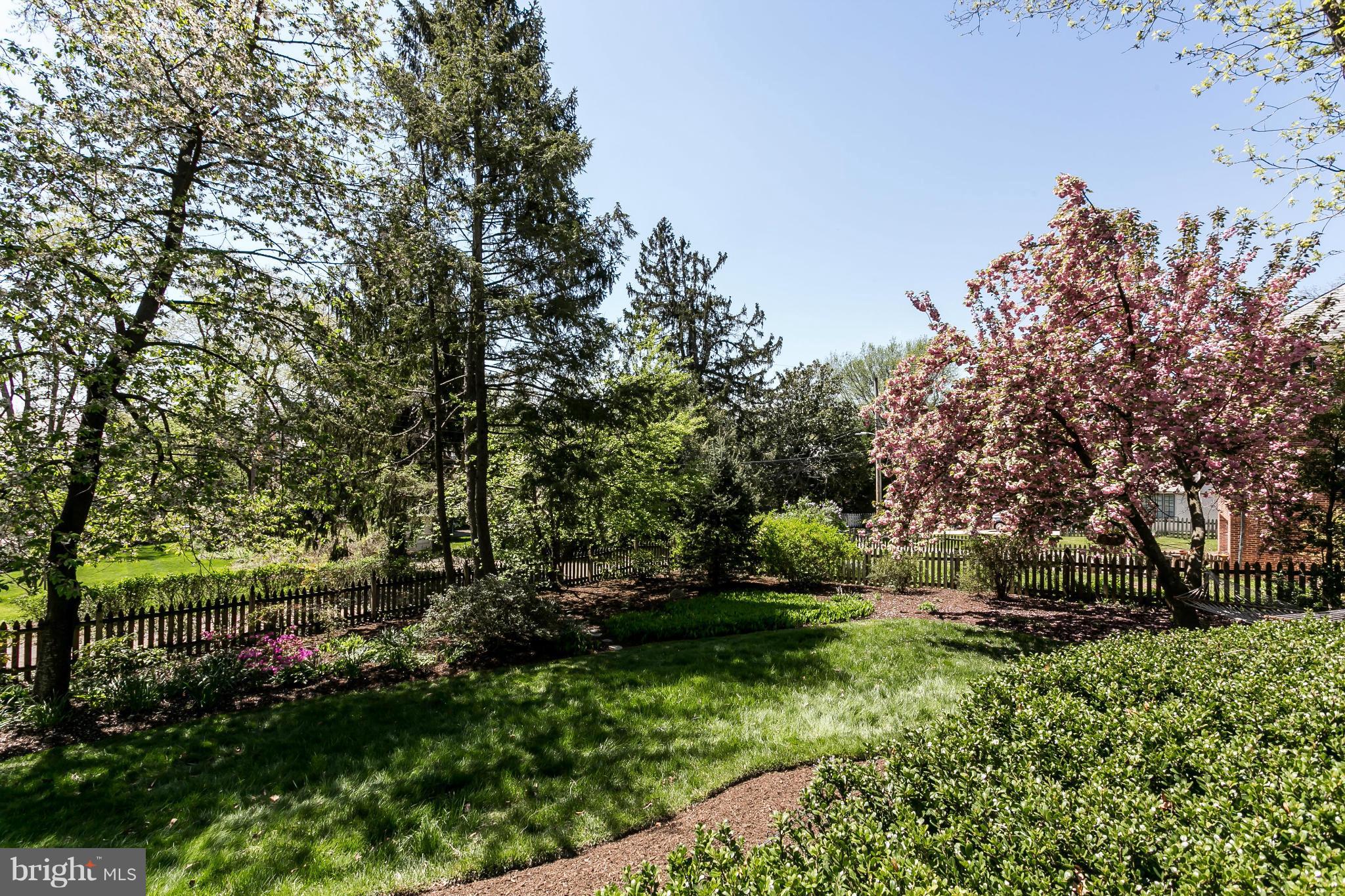 117 Upnor Road Baltimore, MD 21212 - Photo 27 of 32 a view of a park with large trees