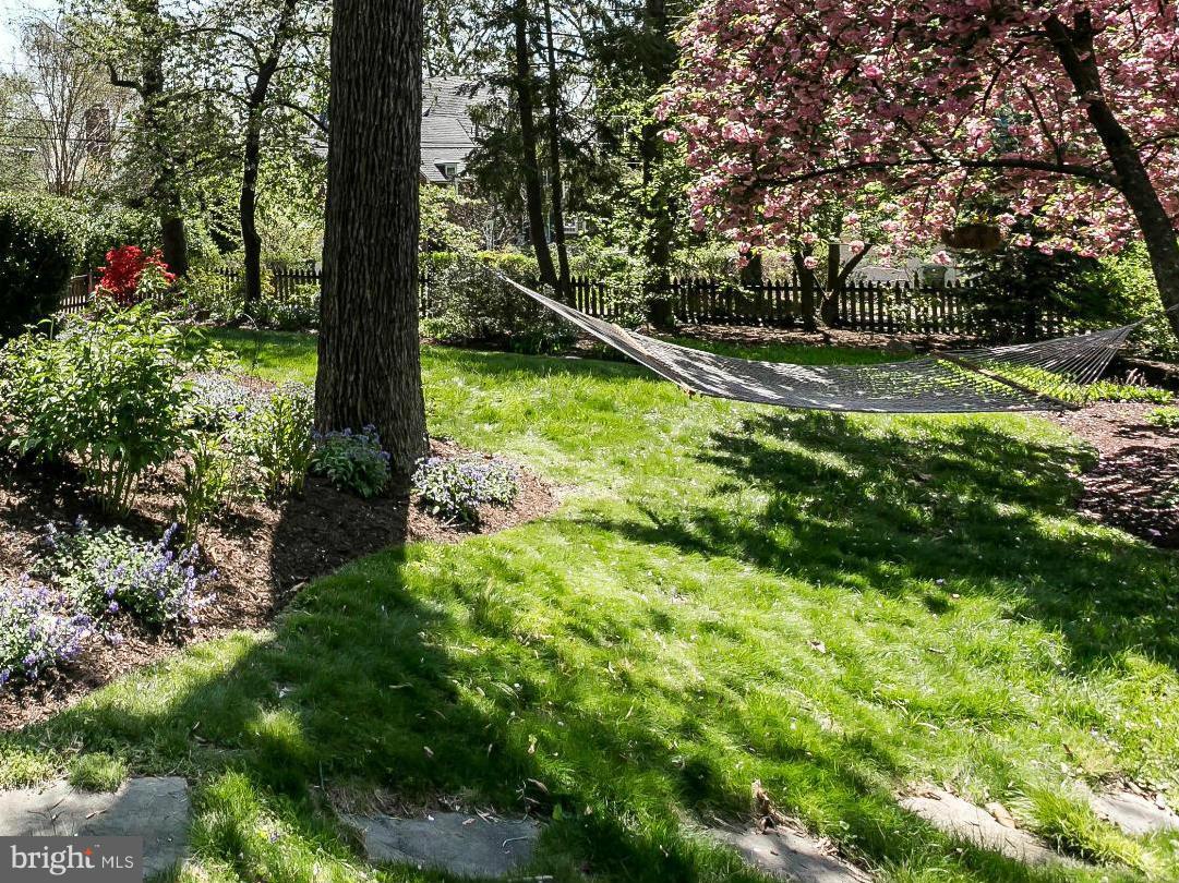 117 Upnor Road Baltimore, MD 21212 - Photo 28 of 32 a view of a trees with a yard