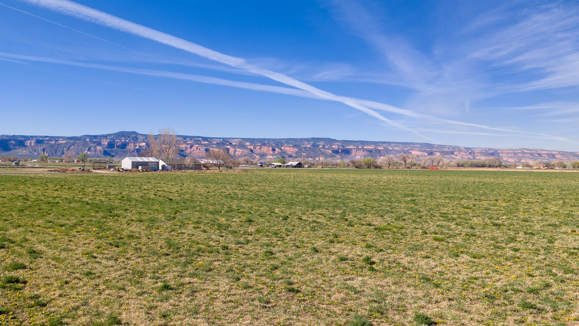 Tbd 20 Road Fruita, CO 81521 - Photo 16 of 18 Gallery Image 16