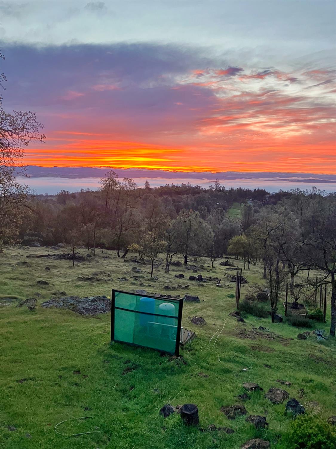 5560 Getta Way Pilot Hill, CA 95664 - Photo 3 of 79