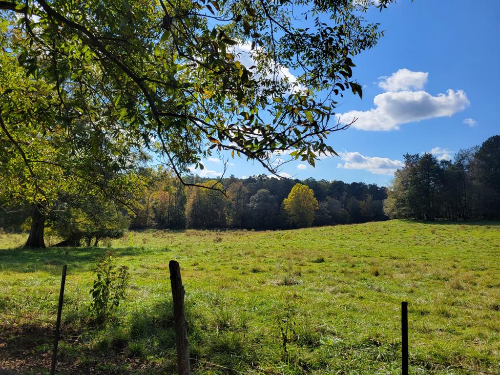 887 Red Row Road McCormick, SC 29835 - Photo 49 of 51