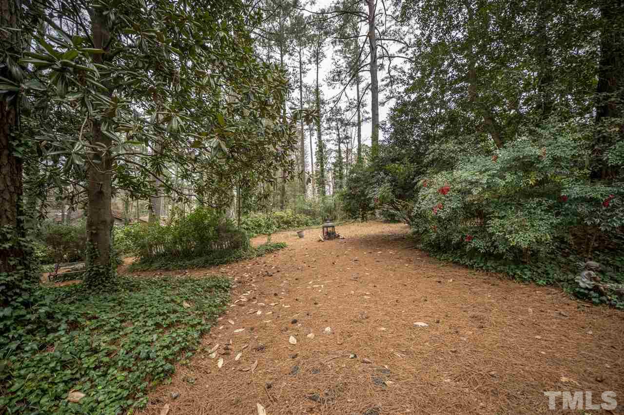 4616 Fernham Place Raleigh, NC 27612 - Photo 24 of 26 a view of a forest with trees in front of it