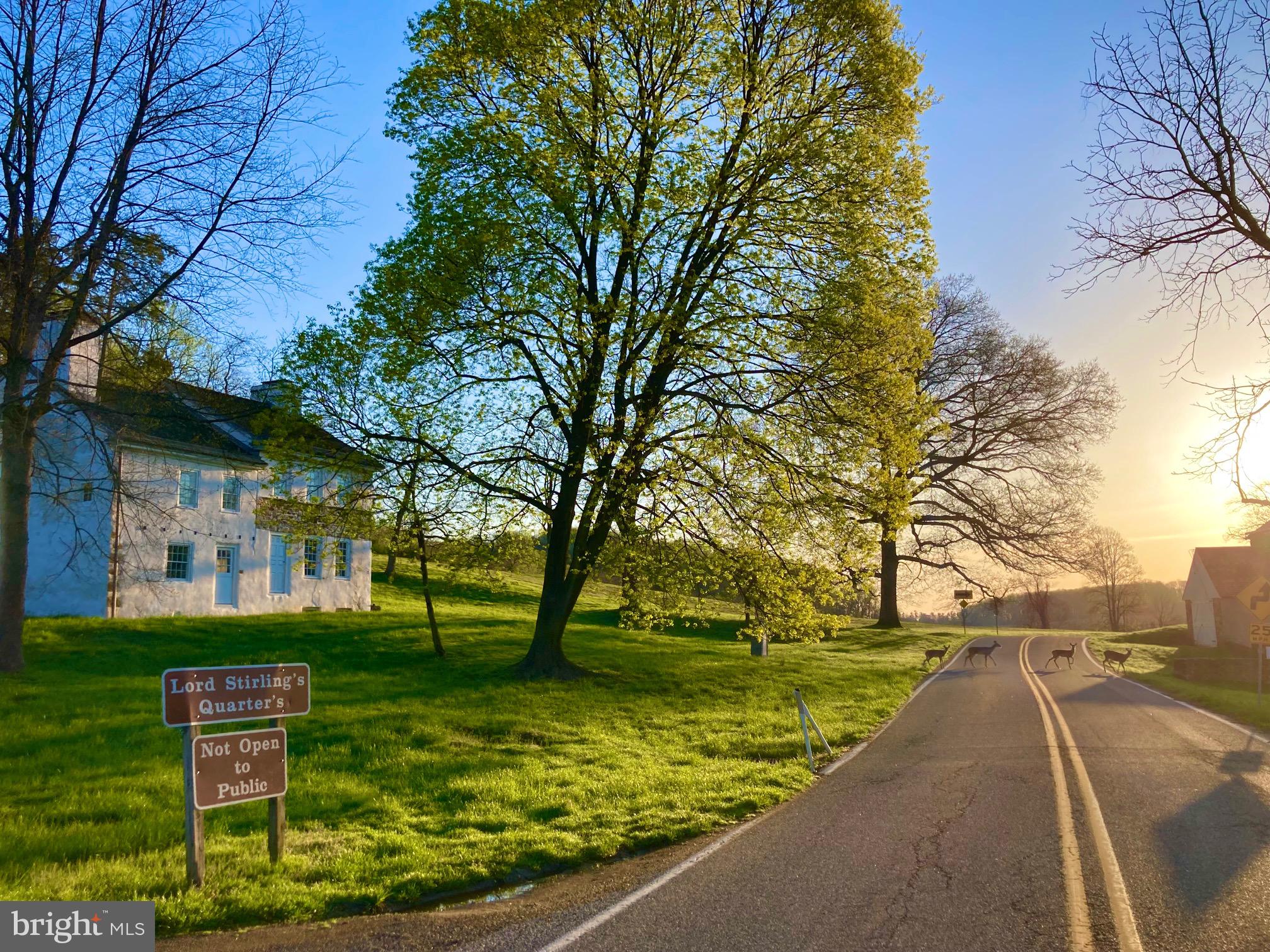 1905 General Alexander Drive Malvern, PA 19355 - Photo 74 of 87 Morning Sunrise walk thru the Park