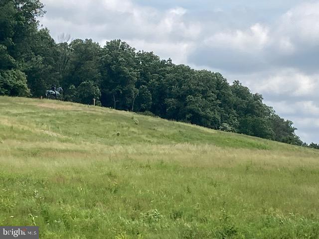 1905 General Alexander Drive Malvern, PA 19355 - Photo 83 of 87 "The Horse" Sledding hill in VF Park
