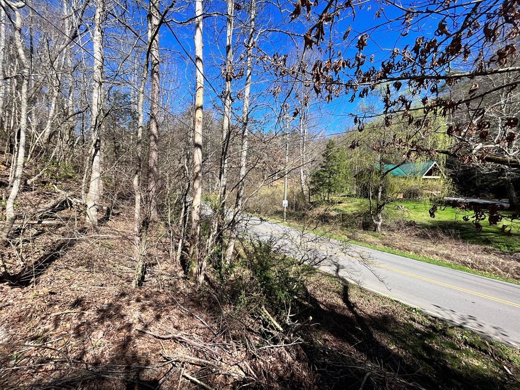 1314 Powdermill Road Gatlinburg, TN 37738 - Photo 3 of 9