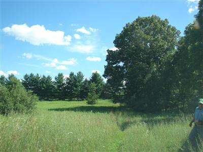 7259 Spring Arbor Road Concord, MI 49237 - Photo 1 of 13 Primary Photo