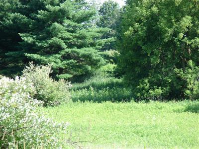 7259 Spring Arbor Road Concord, MI 49237 - Photo 5 of 13 Additional Photo