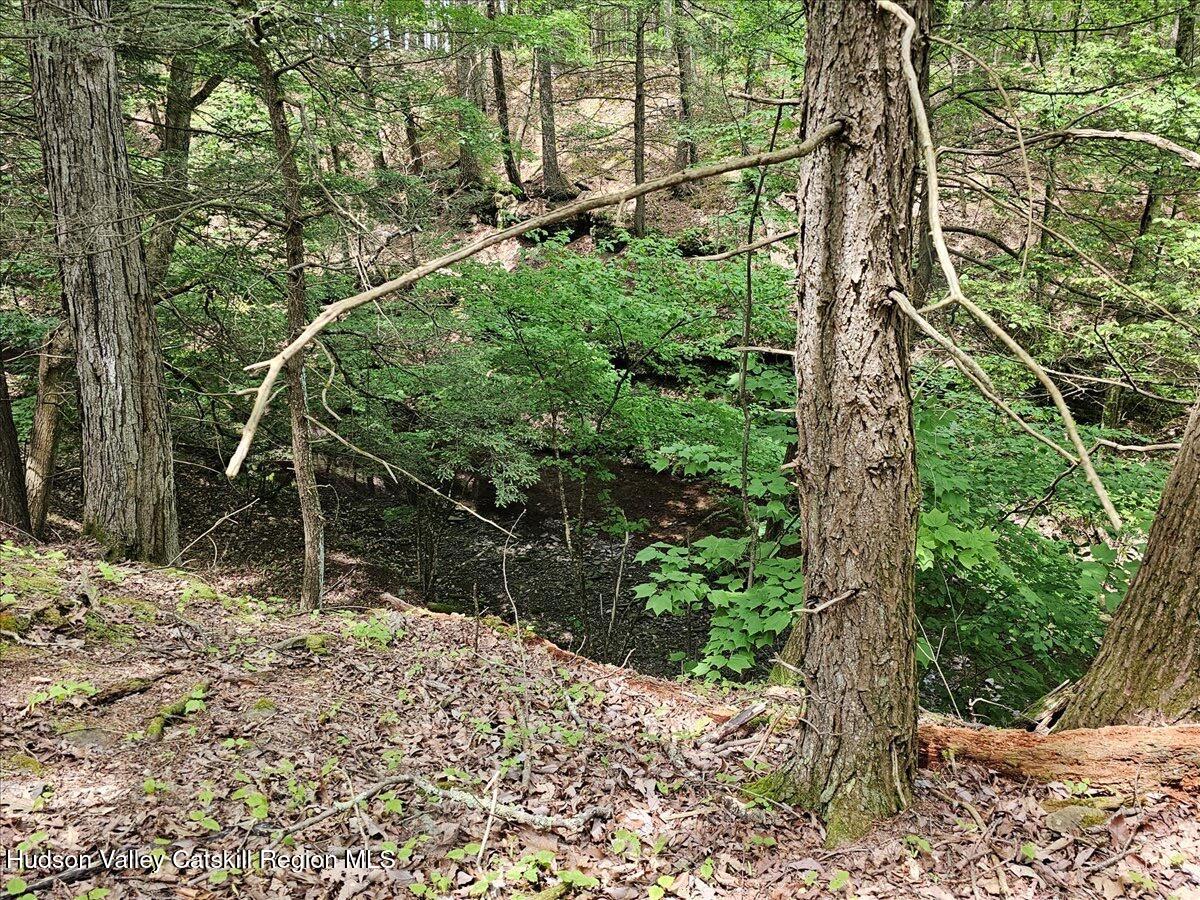 305 Maple Lawn Road Cairo, NY 12473 - Photo 8 of 14 IMG_1748