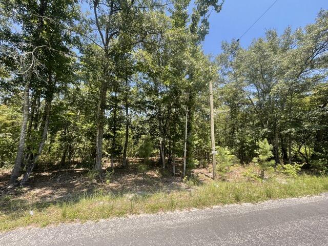 0 Royal Harbor Road Hollywood, SC 29449 - Photo 10 of 10 IMG_9527 Medium