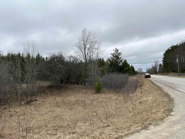 $65,000 | 0 West Geers Road, McBain, MI 49657
