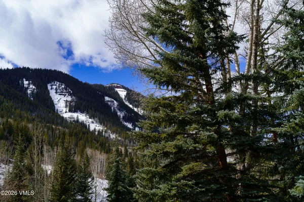 a view of a tree in a city