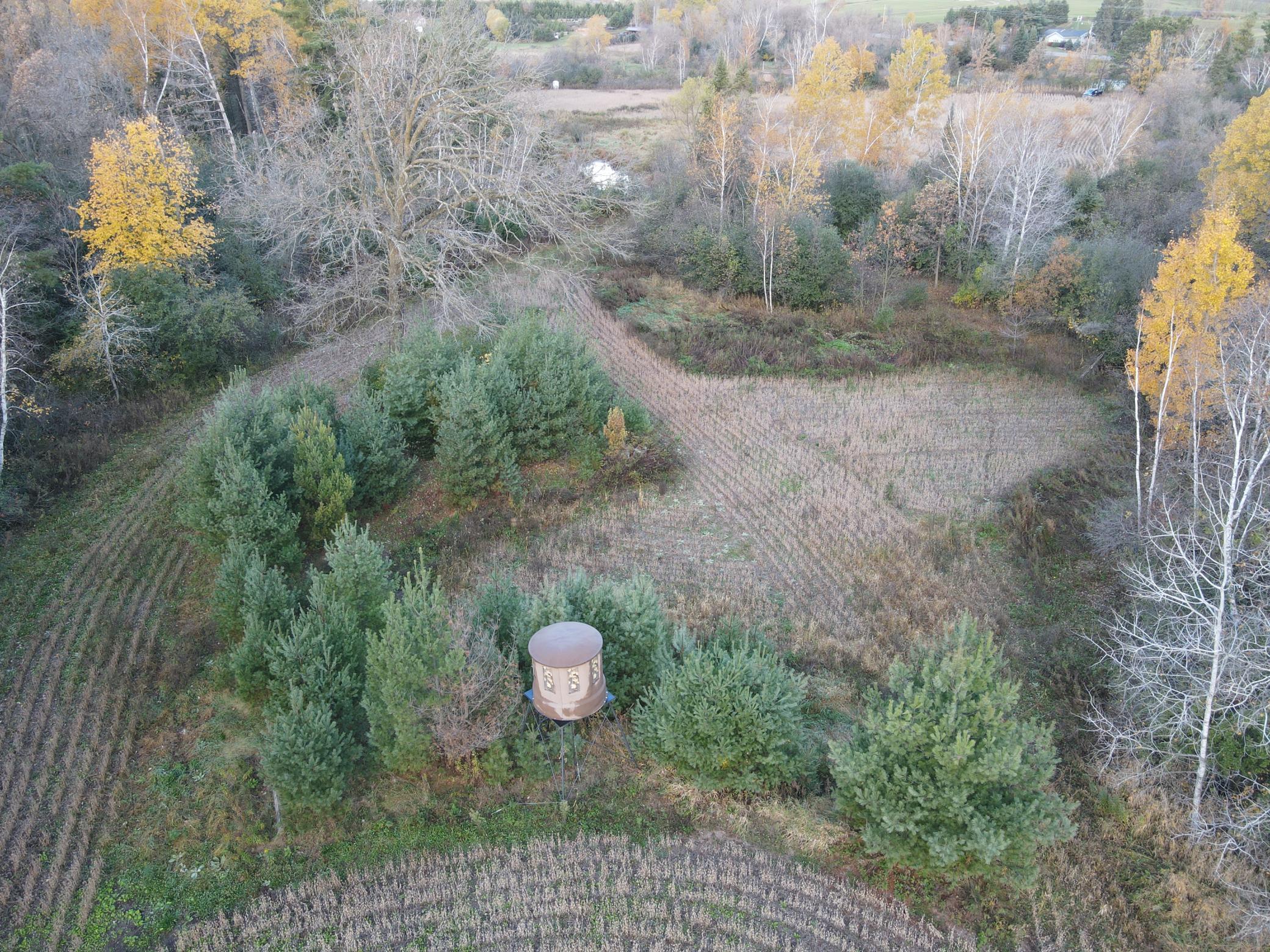 8 Almena Wi 54805 Almena, WI 54805 - Photo 11 of 45