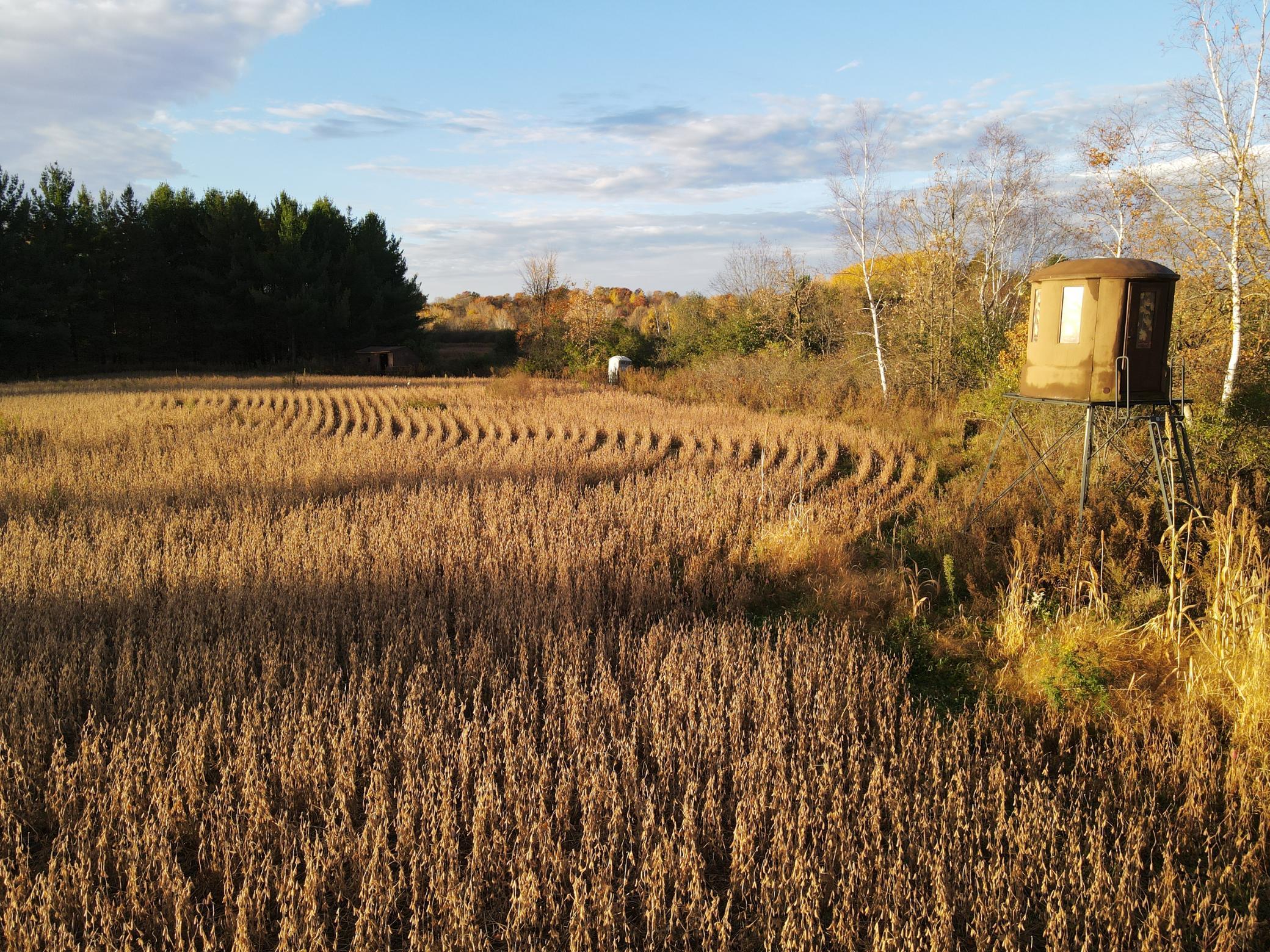 8 Almena Wi 54805 Almena, WI 54805 - Photo 13 of 45