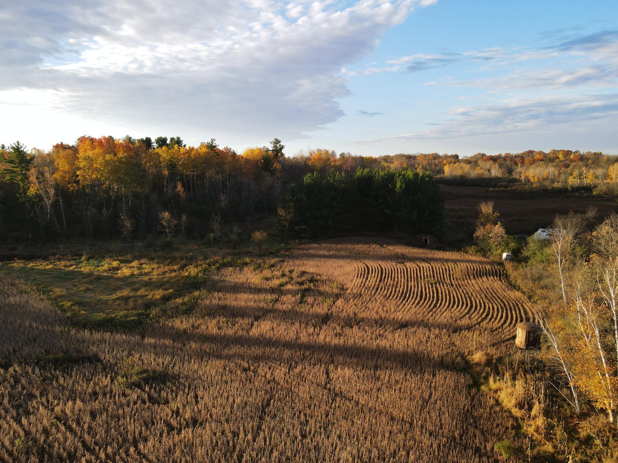 8 Almena Wi 54805 Almena, WI 54805 - Photo 16 of 45