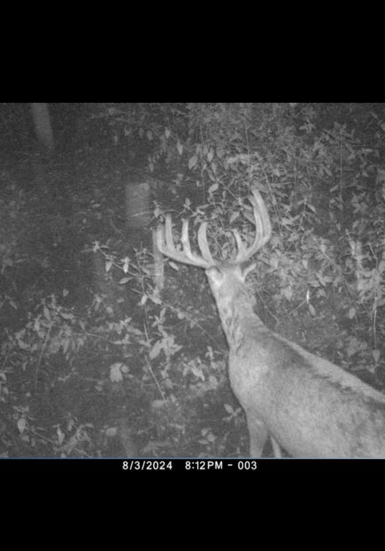 8 Almena Wi 54805 Almena, WI 54805 - Photo 21 of 45