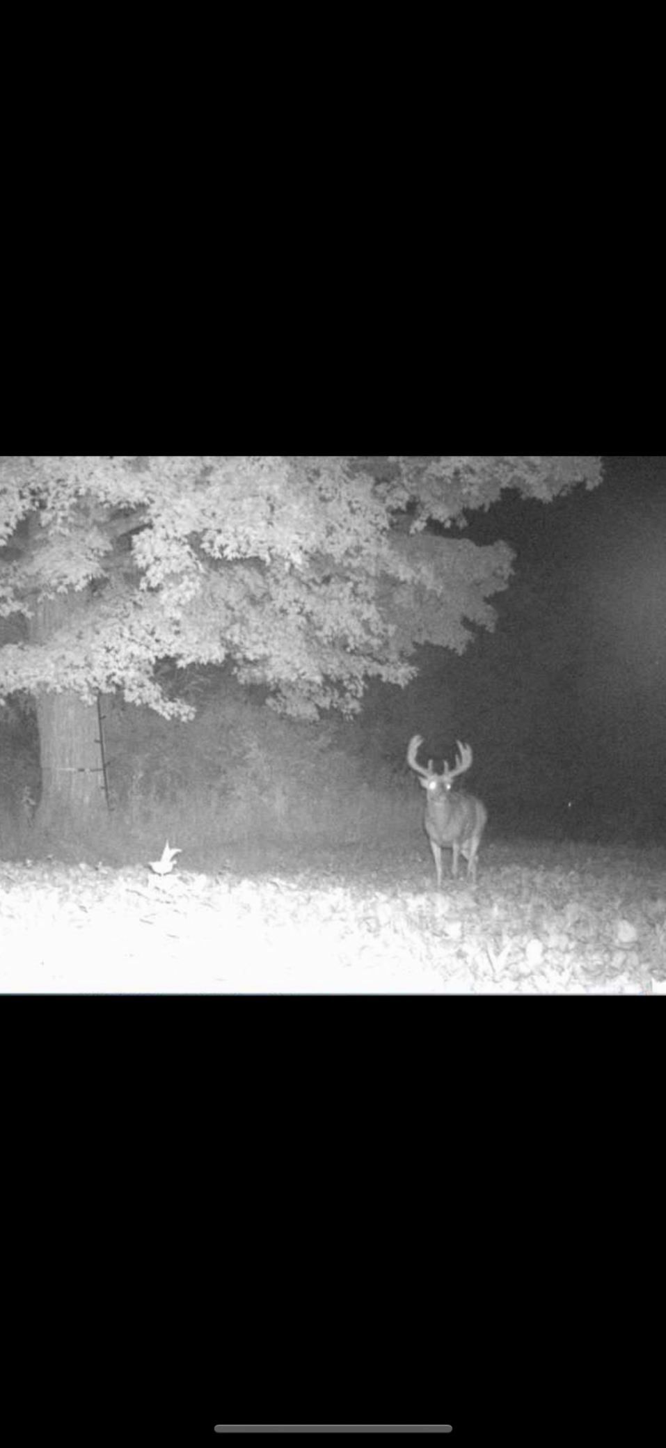 8 Almena Wi 54805 Almena, WI 54805 - Photo 22 of 45