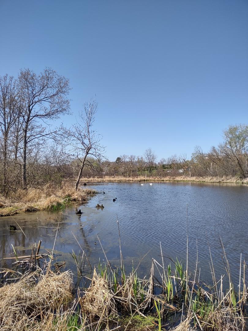 8 Almena Wi 54805 Almena, WI 54805 - Photo 25 of 45