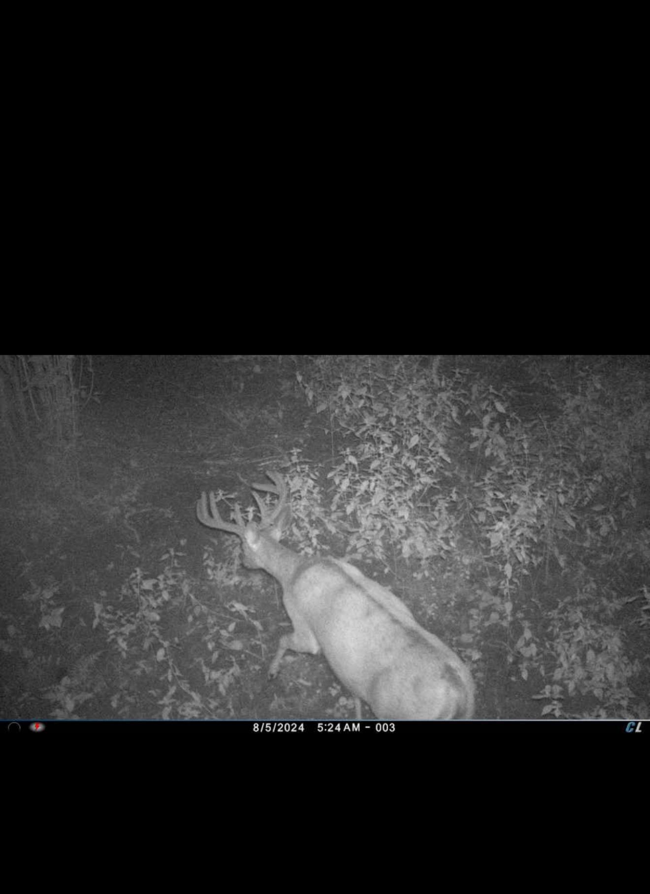 8 Almena Wi 54805 Almena, WI 54805 - Photo 32 of 45