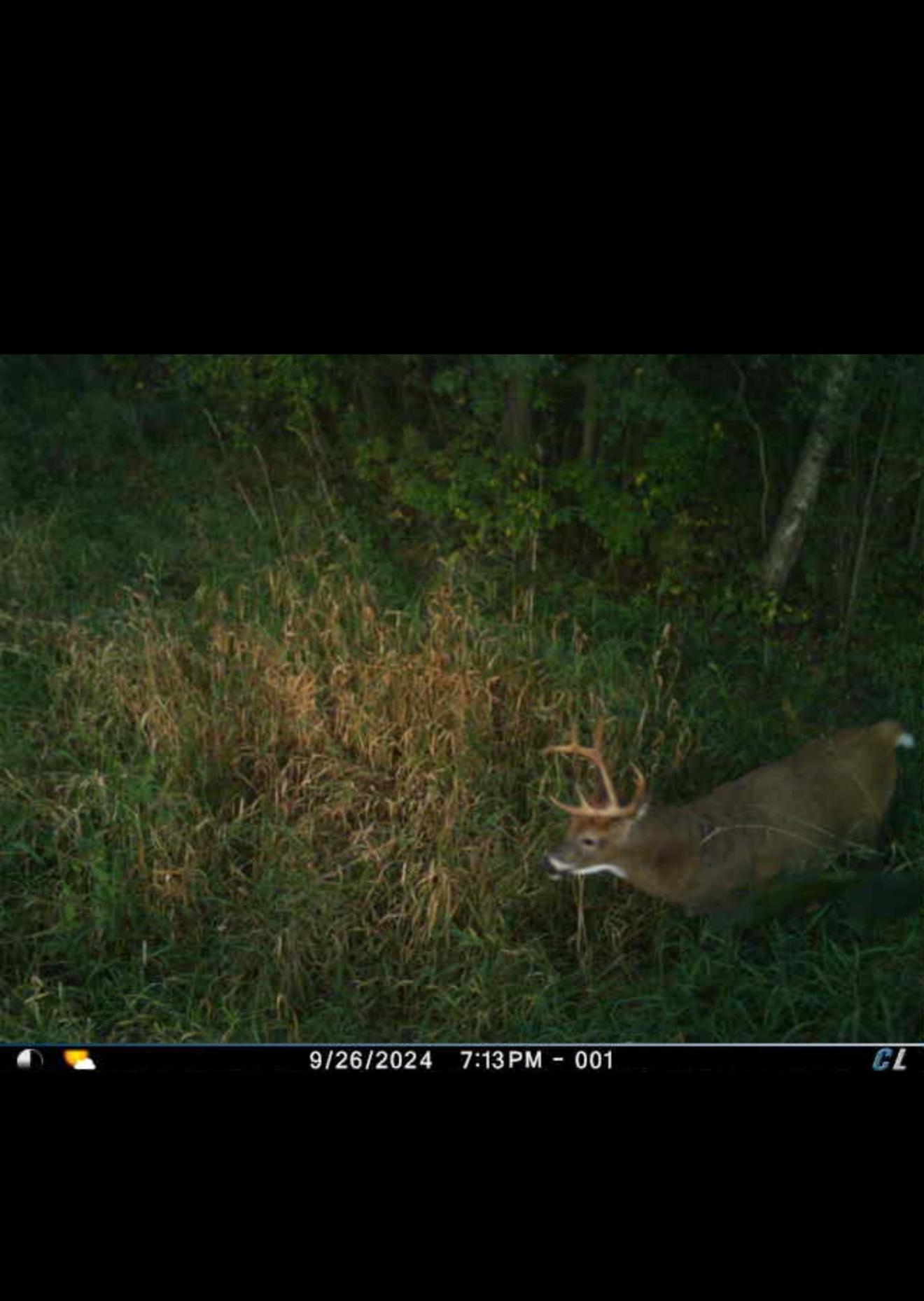 8 Almena Wi 54805 Almena, WI 54805 - Photo 33 of 45